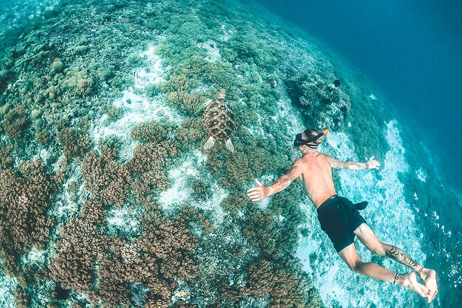 Gili Trawangan Snorkeling | Gili Islands Snorkeling Tour | Auravena Travel | Indonesia Tour Package & Bali Tour Specialist